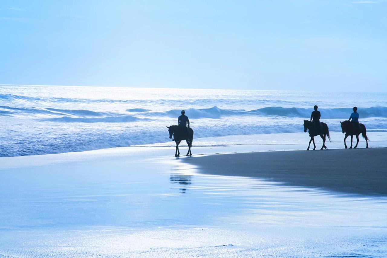 Miramar Beach Home Walk To Beach Trails Restaurants Family Activities Half Moon Bay Extérieur photo