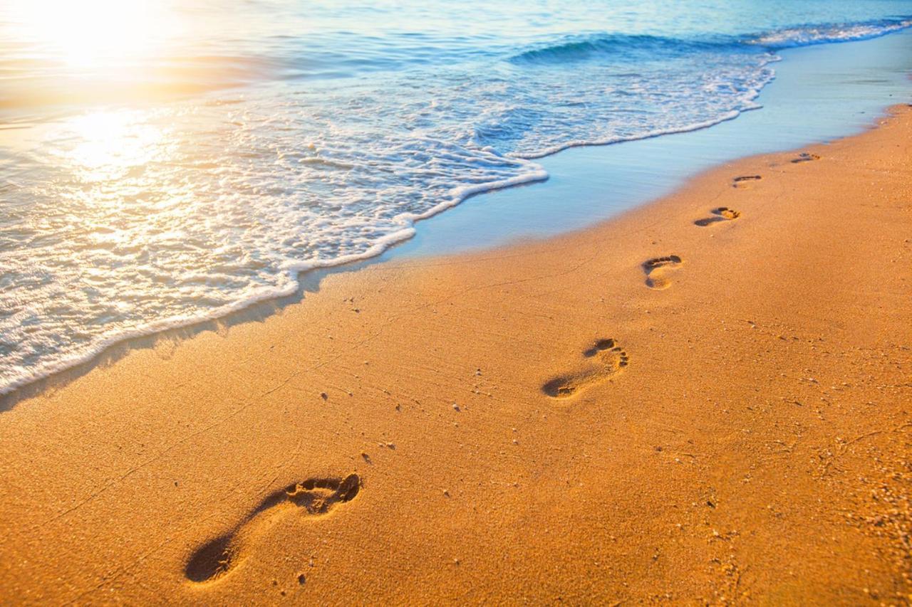 Miramar Beach Home Walk To Beach Trails Restaurants Family Activities Half Moon Bay Extérieur photo
