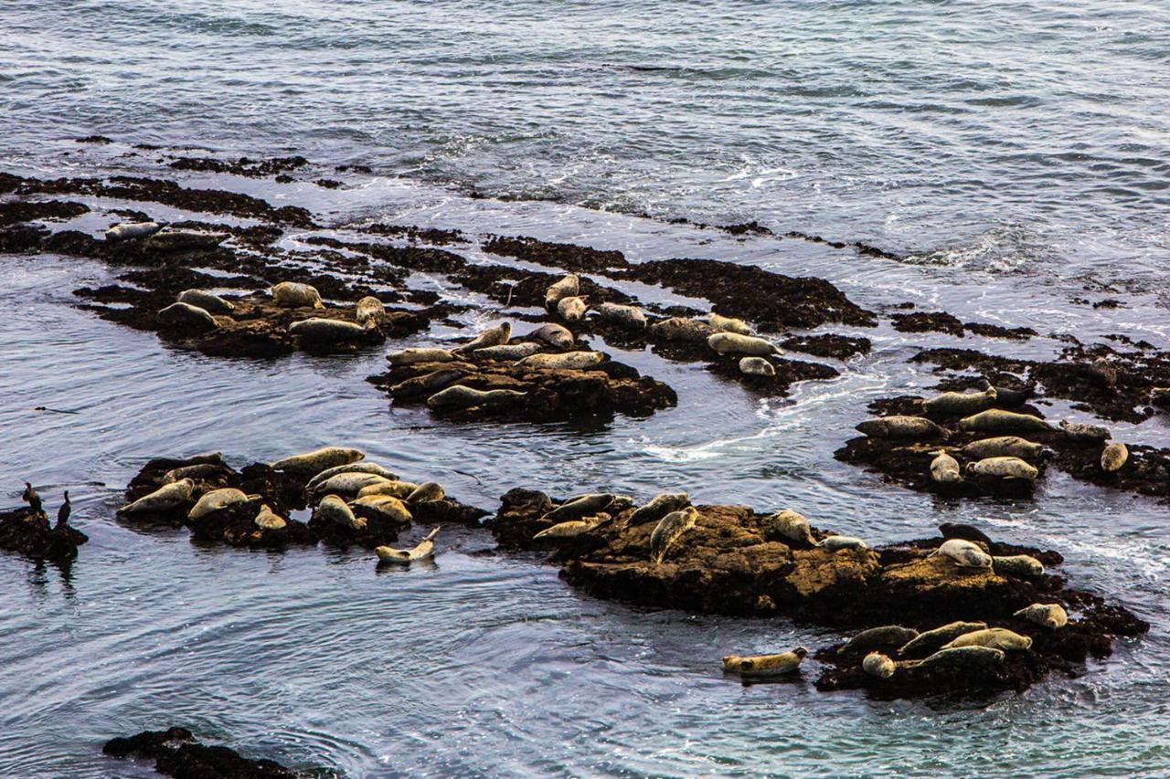 Miramar Beach Home Walk To Beach Trails Restaurants Family Activities Half Moon Bay Extérieur photo